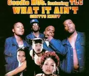 Goodie Mob Featuring TLC - What It Ain'T