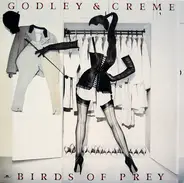 Godley & Creme - Birds of Prey