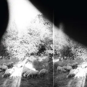Godspeed You! Black Emperor - Asunder,Sweet And Other Distress