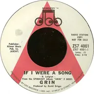 Grin - If I Were A Song / See What A Love Can Do
