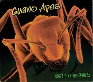 Guano Apes - Don't Give Me Names