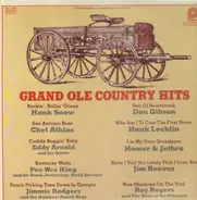 Hank Snow, Don Gibson, Chet Atkins,.. - Grand ole country hits