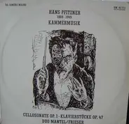 Hans Pfitzner - Kammermusik