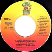 Harry Toddler - I Always Wonder