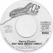 Harry Chapin - What Made America Famous?