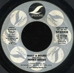 Henry Gross - What A Sound