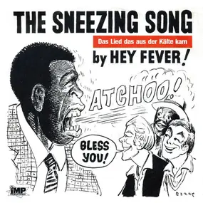 Hey Fever! - The Sneezing Song