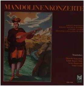 HOFFMANN - Mandolinenkonzerte