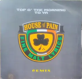 House of Pain - Top O' The Morning To Ya (Remix)