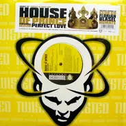 House Of Prince Featuring Oezlem - Perfect Love