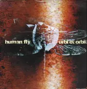 Human Fly - Urbi Et Orbit