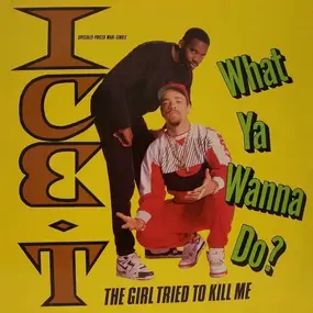 Ice-T - What Ya Wanna Do?