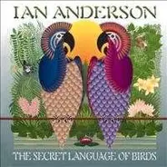 Ian Anderson - Secret Language of Birds