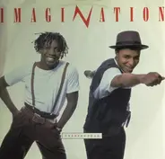 Imagination - Instinctual