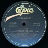 Indigo Girls - Indigo Girls Live! Back On The Bus, Y'all