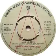 James Taylor - Ain't No Song
