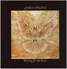 James Vincent - Waiting for the Rain