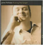 James Yorkston - Roaring the Gospel