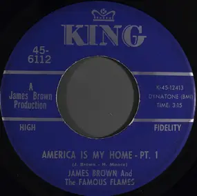 James Brown - America Is My Home