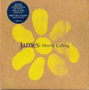 James - Destiny Calling