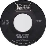 James O'Gwynn - Heart Storm