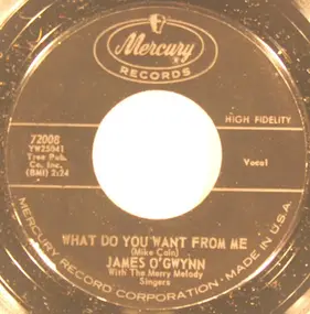 James O'Gwynn - What Do You Want From Me