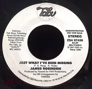 James Robinson - Just What I've Been Missing