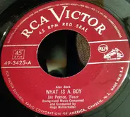 Jan Peerce With Hugo Winterhalter's Orchestra And Chorus - What Is A Boy / Because Of You