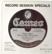 Jack Teagarden, Bud Freeman, Paul Mason... - Record Session Specials