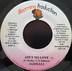 Jahmali - Ain't No Love