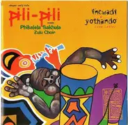 Jasper Van't Hof 's Pili Pili Meets Phikelela Sakhula Choir - Incwadi Yothando (Love Letter)