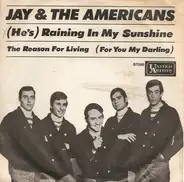 Jay & The Americans - (He's) Raining In My Sunshine