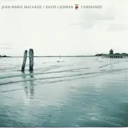 Jean-Marie Machado , David Liebman - Caminando