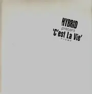 Jean-Michel Jarre - C'est La Vie