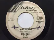 Jim Hall And His Orchestra - Josephine / Sparkling Burgundy