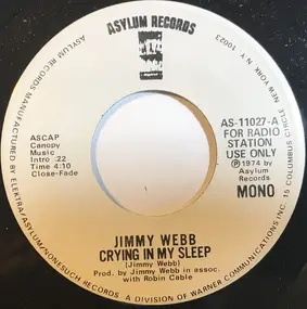 Jimmy Webb - Crying In My Sleep