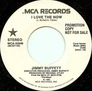 Jimmy Buffett - I Love The Now