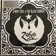 Jimmy Page & The Black Crowes - Live At Jones Beach