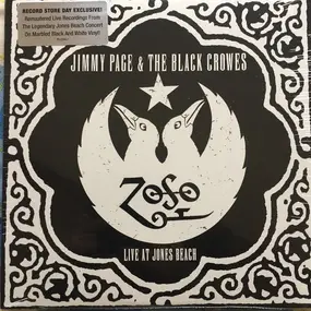 Jimmy Page - Live At Jones Beach