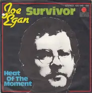 Joe Egan - Survivor