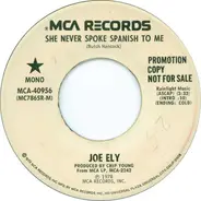 Joe Ely - She Never Spoke Spanish To Me