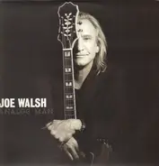 Joe Walsh - Analog Man
