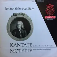 Bach / Westfälische Kantorei - Kantate Die Himmel erzählen die Ehre Gottes; Motette Singet dem Herrn ein neues Lied