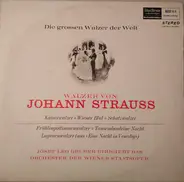 Johann Strauss Jr. - J.L. Gruber w/ Wiener Staatsoper - Walzer Von Johann Strauß