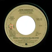 John Anderson - Would You Catch A Falling Star / I Just Came Home To Count The Memories
