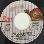 John Cougar Mellencamp - Rain On The Scarecrow