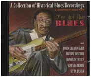 John Lee Hooker / Muddy Waters a.o. - I've Got The Blues