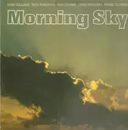 John Williams / Rick Wakeman / Ray Cooper / Chris Spedding / Herbie Flowers - Morning Sky