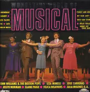 John Williams & The Boston Pops, Liza Minelli... - Wonderful World Of Musical