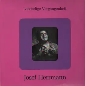 Josef Herrmann - Lebendige Vergangenheit